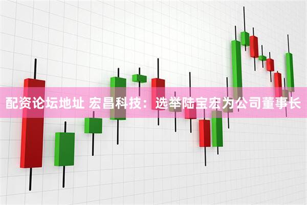 配资论坛地址 宏昌科技：选举陆宝宏为公司董事长