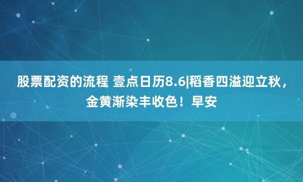 股票配资的流程 壹点日历8.6|稻香四溢迎立秋，金黄渐染丰收色！早安